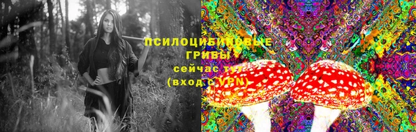 ECSTASY Волоколамск